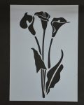 Arum Lilly