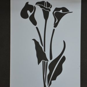 Arum Lilly