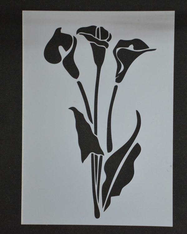 Arum Lilly
