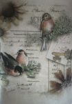 Bird Letter