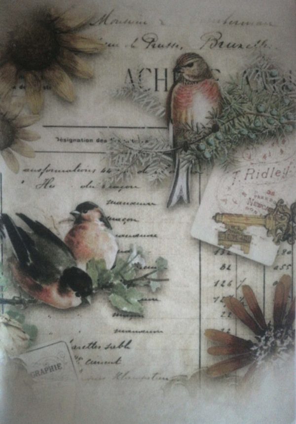 Bird Letter