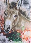Donkey