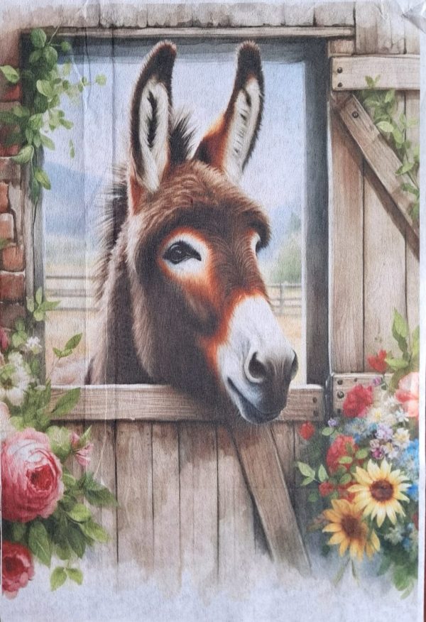 Donkey Door