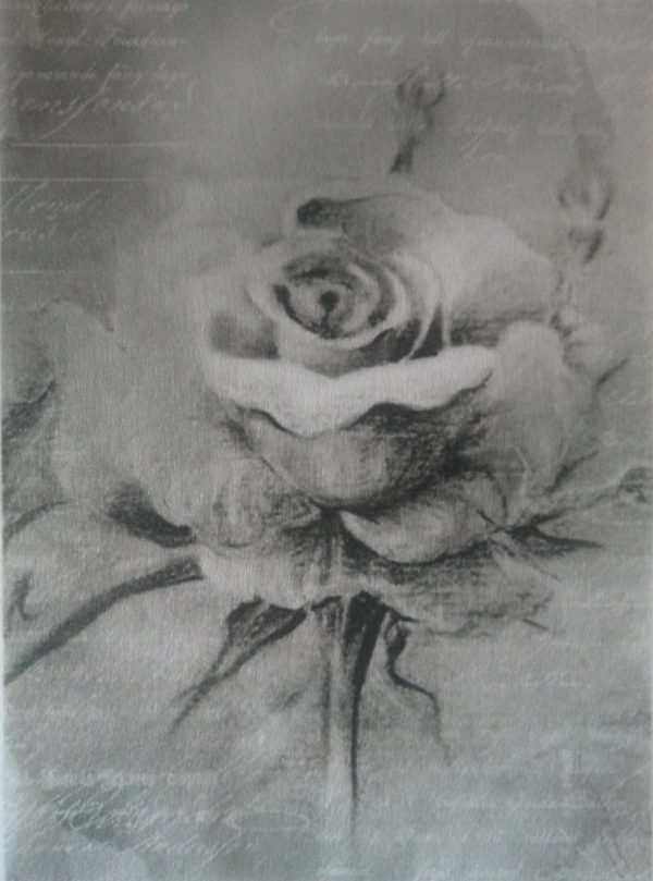 Black Rose