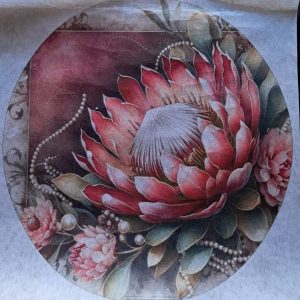 Round - Protea Pearl
