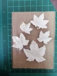 5 set leave embellishment