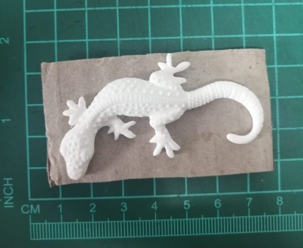 Gecko Embellishment
